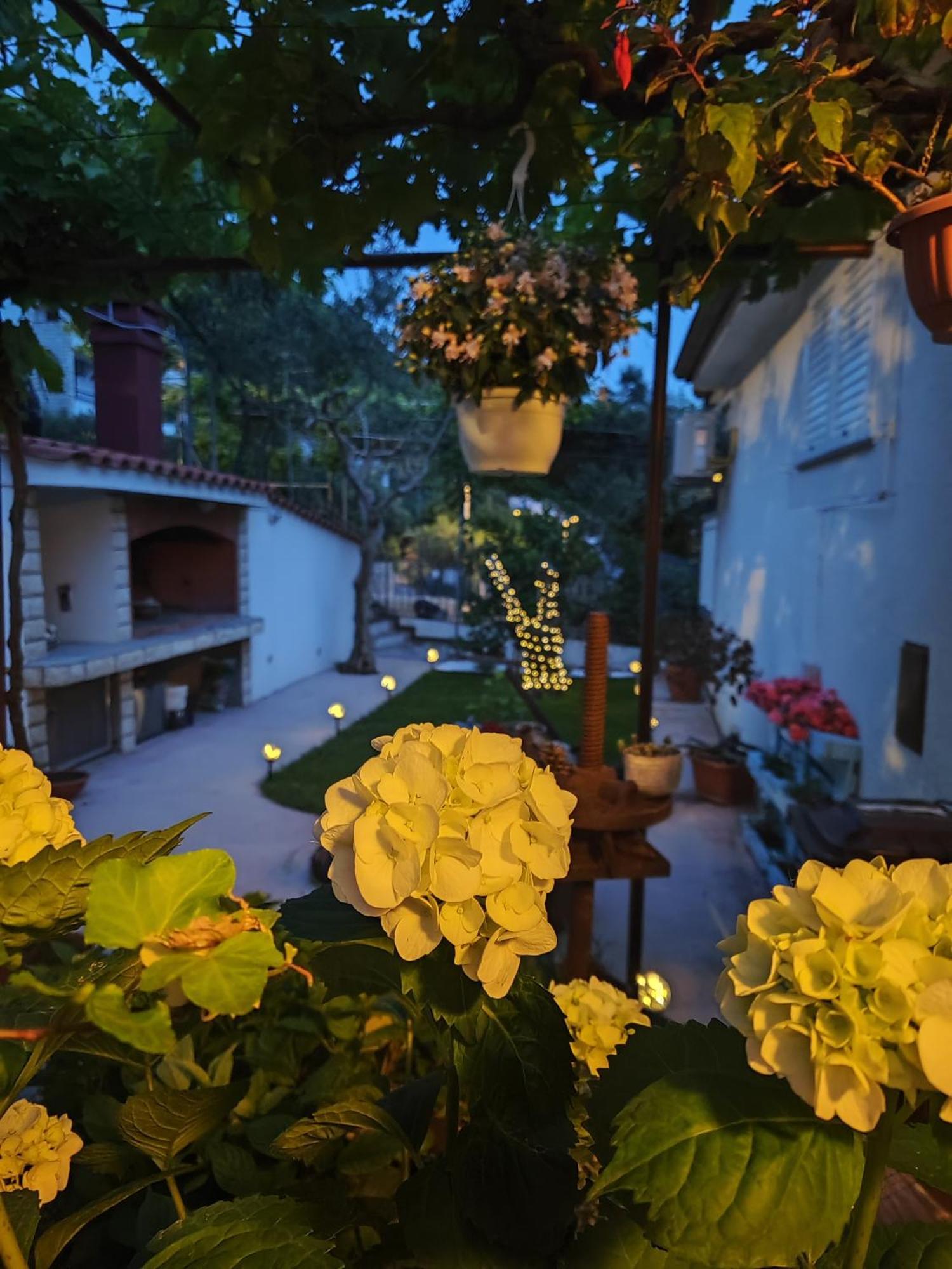Andela Kordic Apartment