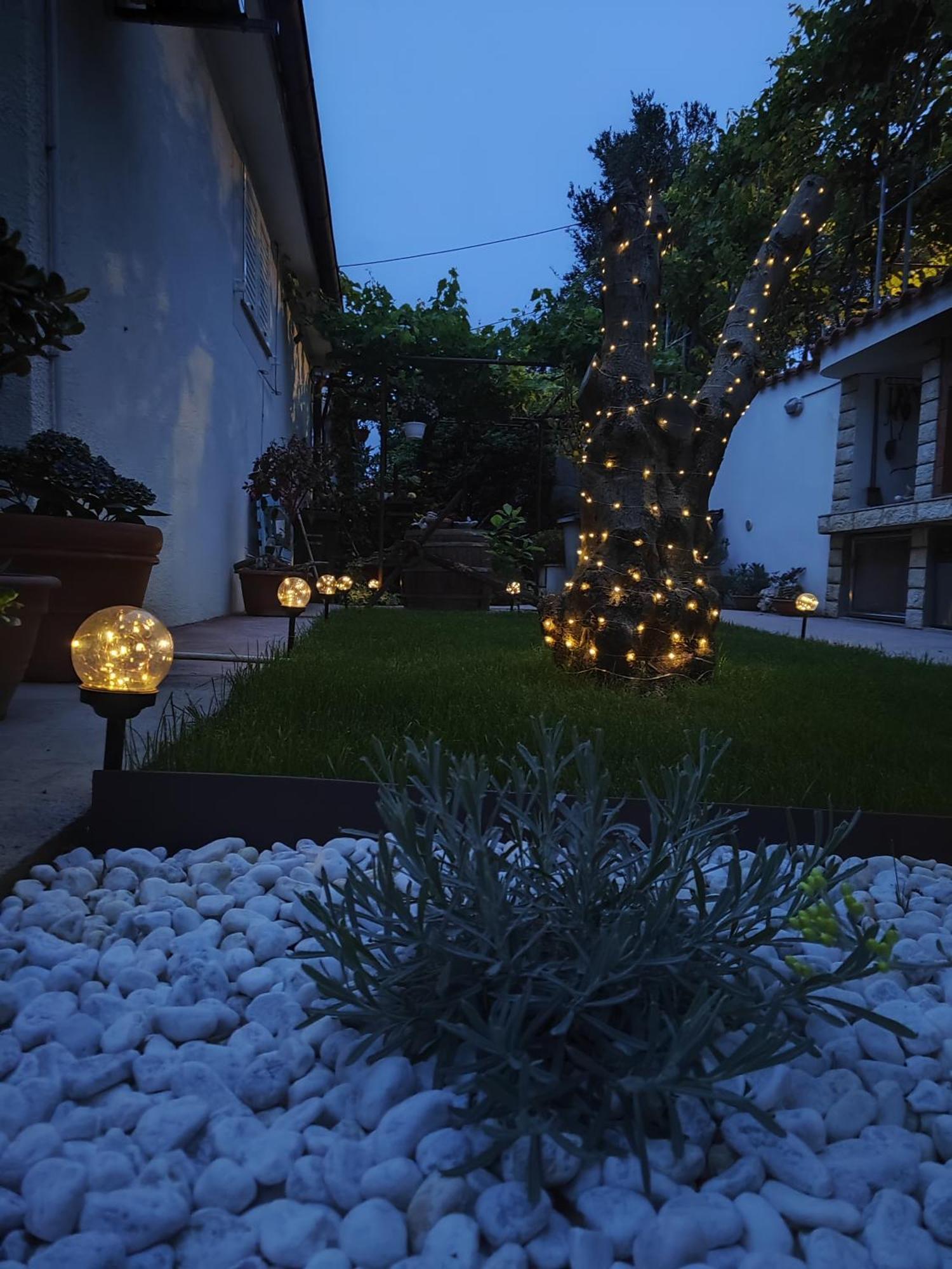 Apartment Andela Kordic *